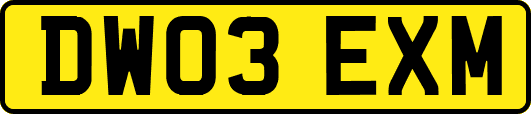 DW03EXM