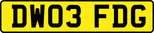 DW03FDG