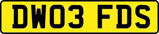 DW03FDS