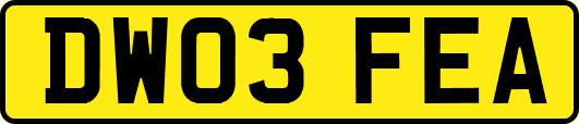 DW03FEA