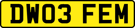 DW03FEM