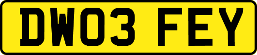 DW03FEY