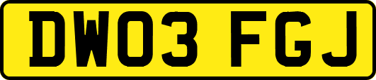 DW03FGJ