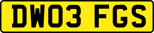 DW03FGS