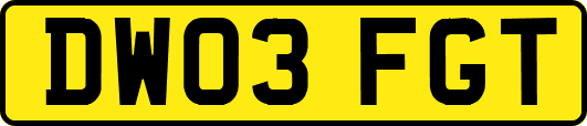 DW03FGT