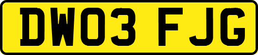 DW03FJG