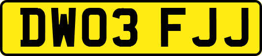 DW03FJJ