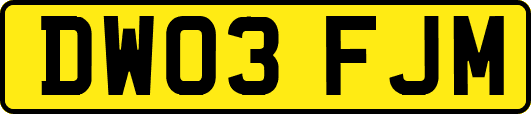 DW03FJM