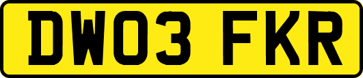 DW03FKR