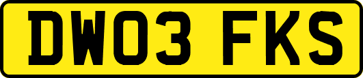 DW03FKS