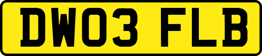DW03FLB