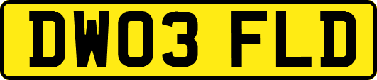DW03FLD