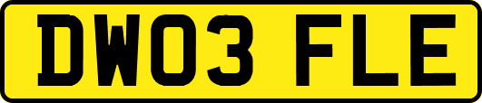 DW03FLE