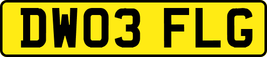 DW03FLG
