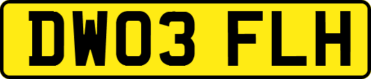 DW03FLH