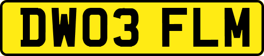 DW03FLM