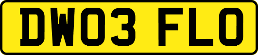 DW03FLO