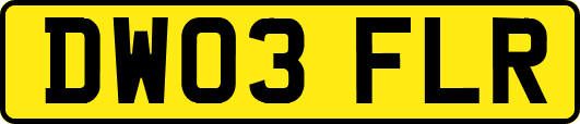 DW03FLR