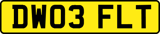 DW03FLT