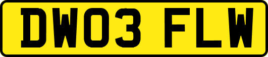 DW03FLW