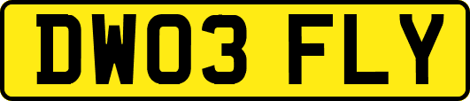 DW03FLY