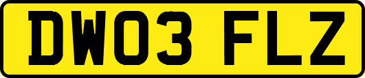 DW03FLZ