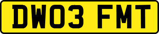 DW03FMT