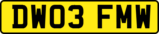 DW03FMW