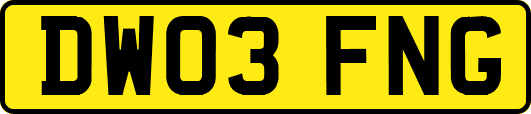 DW03FNG