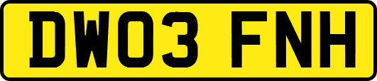 DW03FNH