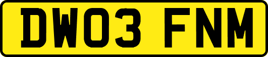 DW03FNM