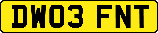 DW03FNT