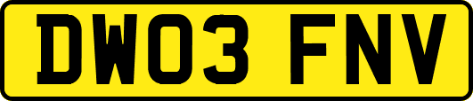 DW03FNV