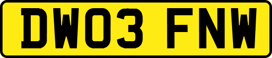 DW03FNW