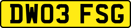 DW03FSG