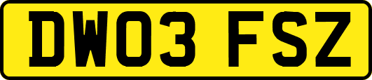 DW03FSZ
