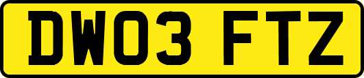 DW03FTZ