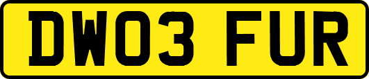 DW03FUR
