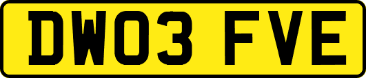 DW03FVE