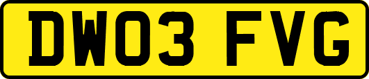 DW03FVG