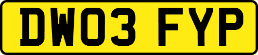 DW03FYP