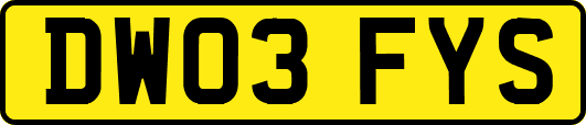 DW03FYS