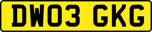 DW03GKG