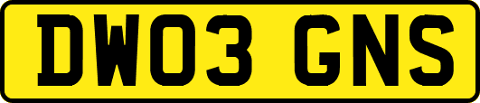 DW03GNS