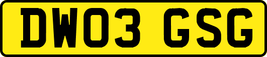 DW03GSG