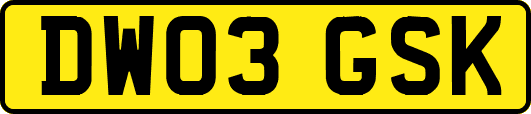 DW03GSK