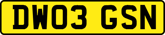 DW03GSN