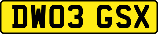 DW03GSX
