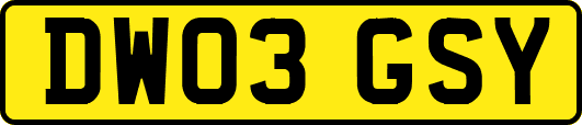 DW03GSY