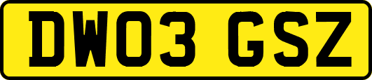 DW03GSZ